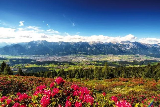 Alpine Garden Patscherkofel, Austria, Austria